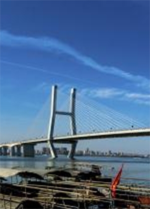 �ַ�ll(�й���)���޹�˾����