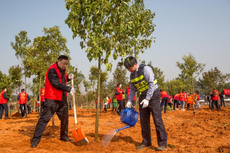 �ַ�ll(�й���)���޹�˾����