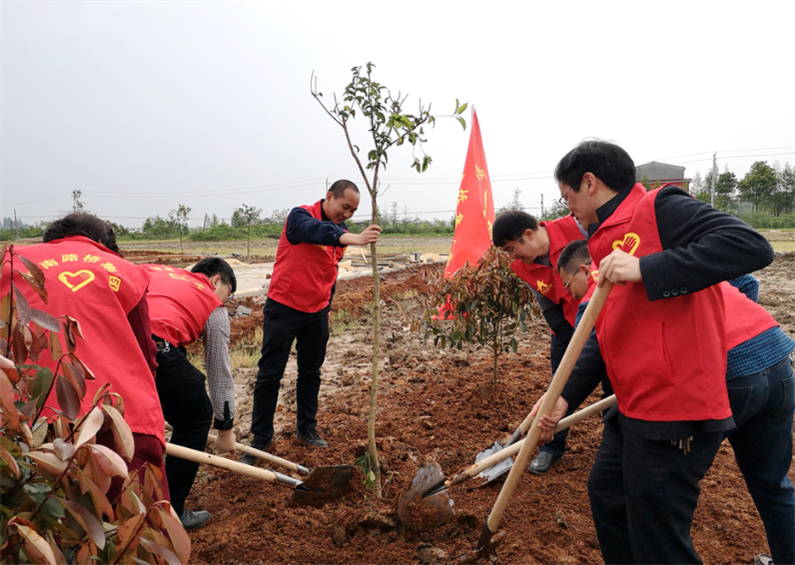 �ַ�ll(�й���)���޹�˾����