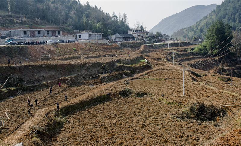 �ַ�ll(�й���)���޹�˾����