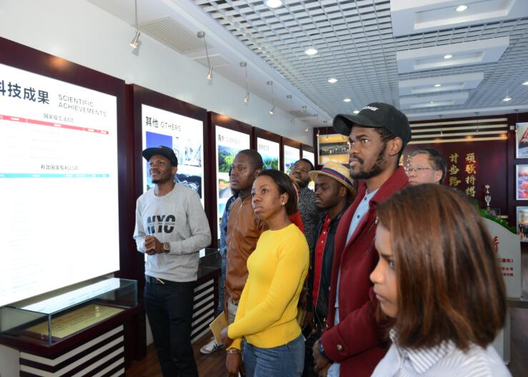 �ַ�ll(�й���)���޹�˾����