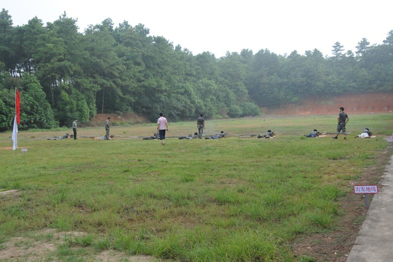 �ַ�ll(�й���)���޹�˾����